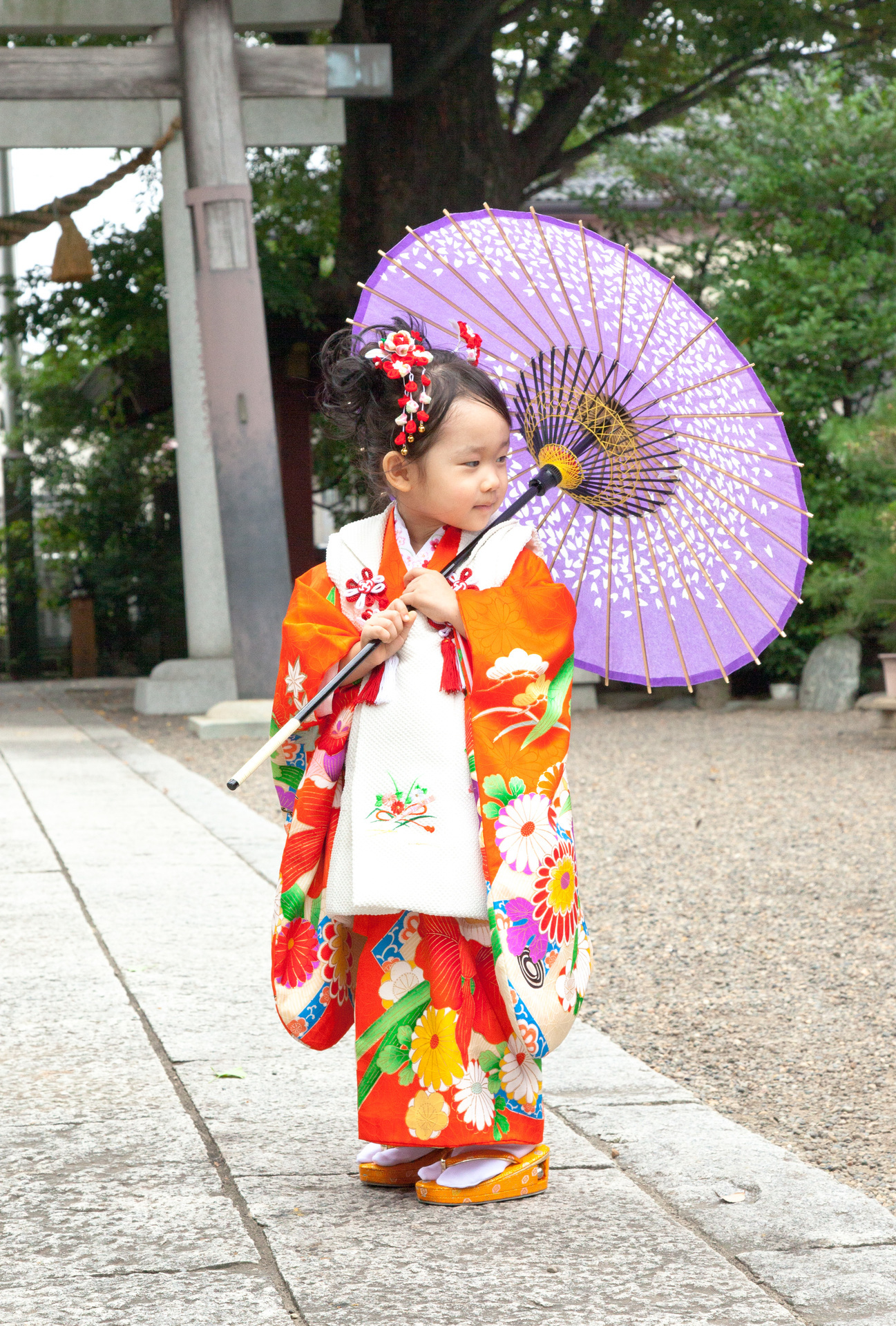 3歳七五三 前川神社 傘紫 鈴木写真スタヂオblog 埼玉県 ｌ川口市ｌ 写真館 ｌ